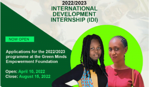 International Development Internship (IDI)2022/23