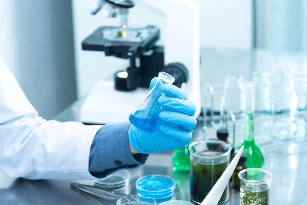 Research Development Fellowship
