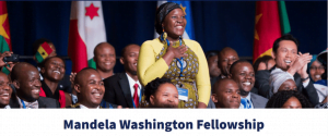 Mandela Washington Fellowship