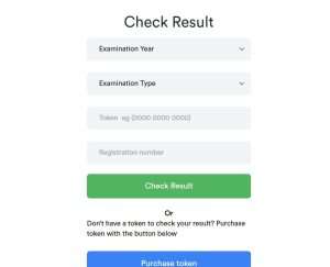 How to Check Your NECO Results Online